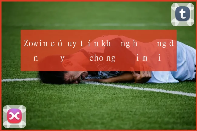 Zowin có uy tín không hướng dẫn đầy đủ cho người mới
