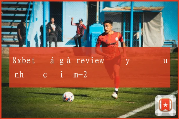 8xbet đá gà review đầy đủ ưu nhược điểm
