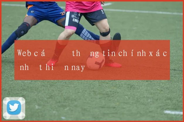 Web cá độ thông tin chính xác nhất hiện nay