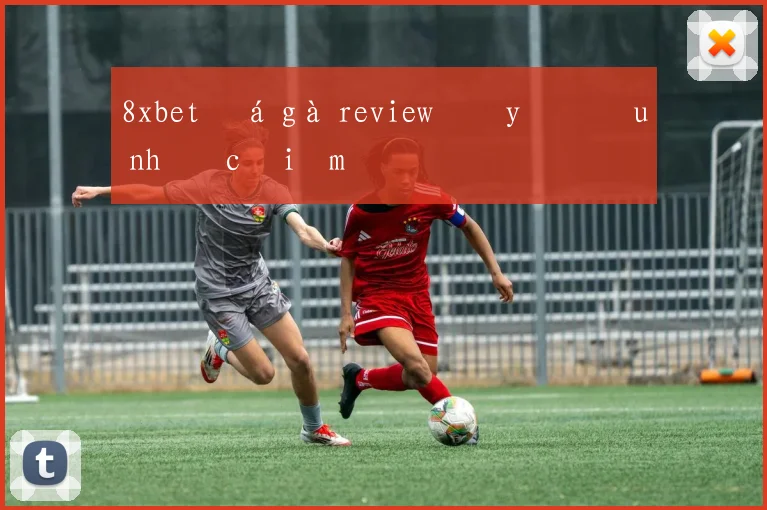 8xbet đá gà review đầy đủ ưu nhược điểm